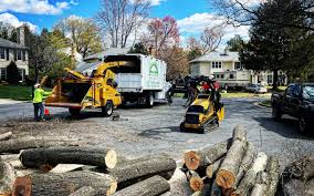 Best Lawn Mowing  in Yorba Linda, CA