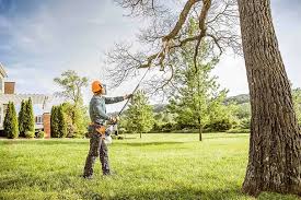 Best Lawn Pest Prevention  in Yorba Linda, CA
