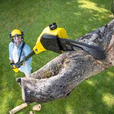 Best Grass Overseeding  in Yorba Linda, CA