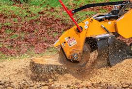 Best Tree Disease Treatment  in Yorba Linda, CA