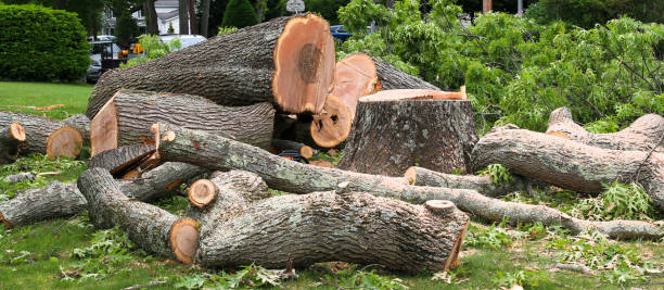 Best Firewood Processing and Delivery  in Yorba Linda, CA