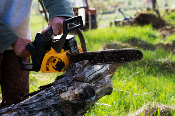 Best Utility Line Clearance  in Yorba Linda, CA